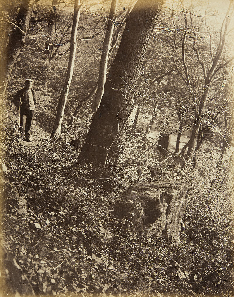 Georg Maria Eckert, Mittelgrundstudie: Wald-Inneres – Eichenstamm mit Fels, Gestrüpp und Staffage, 1867/68