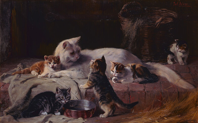 Julius Adam d.J., Katzenfamilie