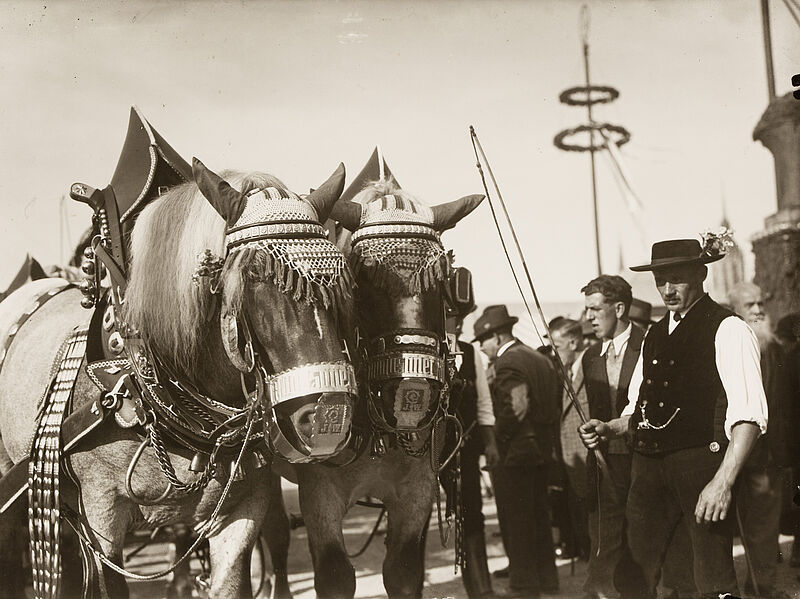 Philipp Kester, Münchner Oktoberfest – Kutscher eines Bierwagens mit Peitsche neben seinem Pferdegespann, 1932