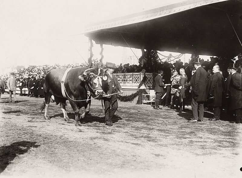 Philipp Kester, Münchner Oktoberfest – König Ludwig III. bei der Viehprämierung anlässlich des Oktoberfestes, 1913