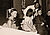 Unbekannt, Faschingsfeier für die Kinder der Mitarbeiter*innen im Tai-Tung, 09.02.1956