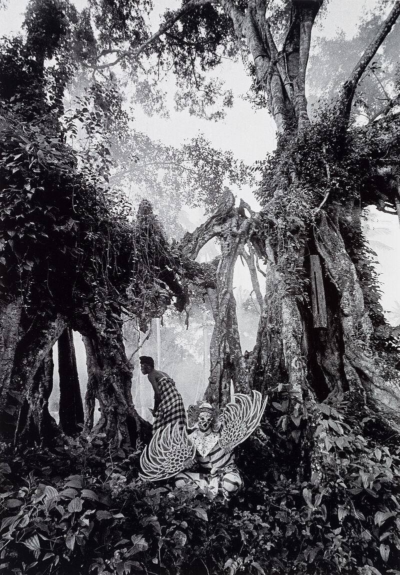 Thomas Hoepker, Ketchak-Tänzer (Garuda-Vogel) unter einem Banyan-Baum, Bali, Indonesien, 1965