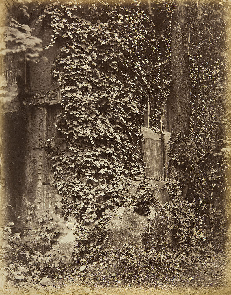 Georg Maria Eckert, Vordergrundstudie: Laubwerk – Efeu an der Kirchenmauer, 1867/68