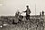Philipp Kester, Kartoffelernte auf einem Großbesitz – Für jeden abgelieferten Korb wird vom Aufseher eine Blechmarke erteilt, wonach sich der Tagesverdienst der Arbeiter bemisst, 1930