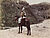 Kusakabe Kimbei, Ohne Titel (Rückenansicht eines Reiters mit Pfeilköcher vor hügeliger Landschaft), Um 1880-1890