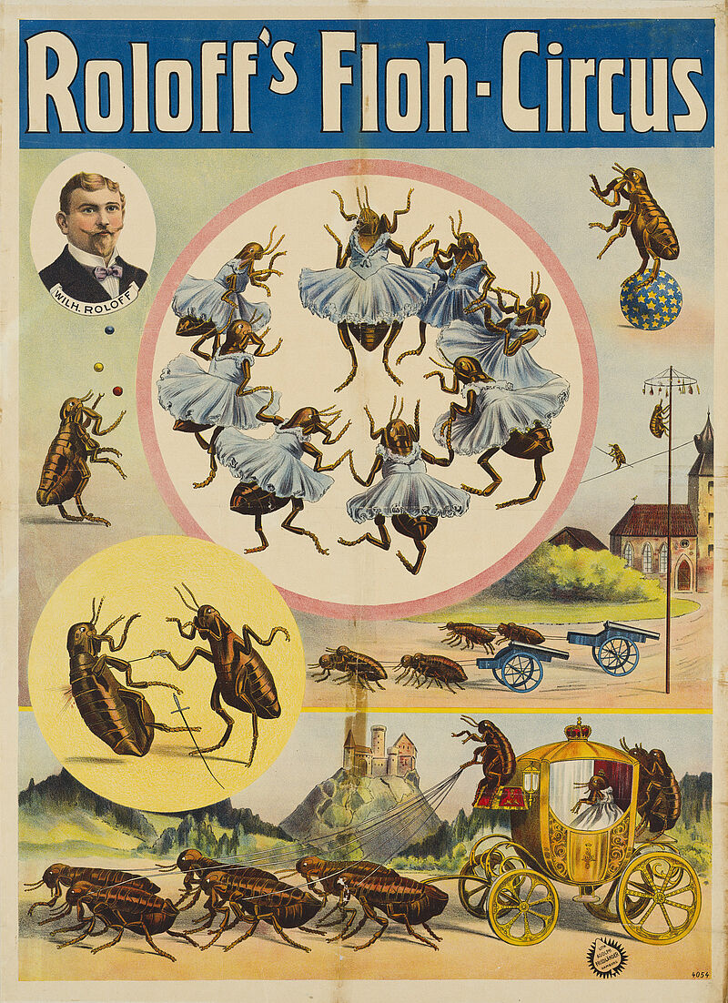 Fa. Lith. Adolph Friedländer, "Roloff's Floh-Circus" (Originaltitel), um 1907