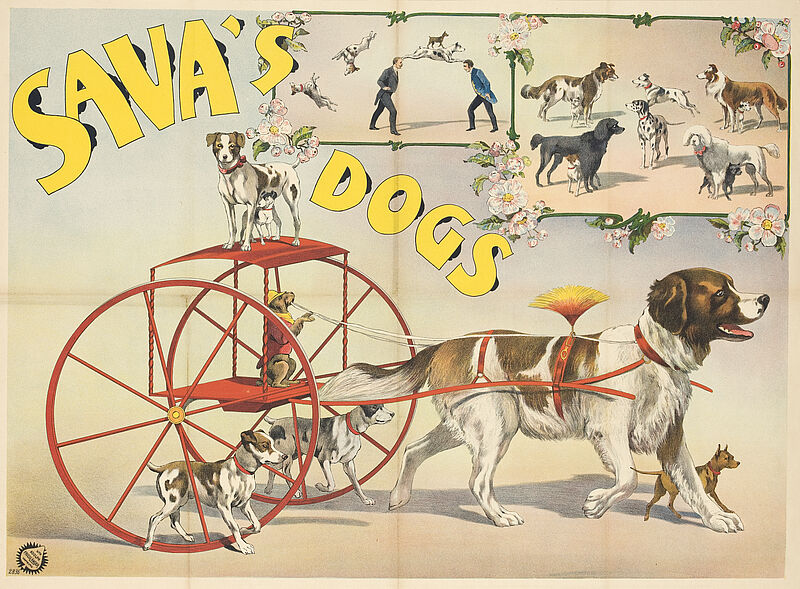 Fa. Lith. Adolph Friedländer, "Sava's dogs" (Originaltitel), um 1904