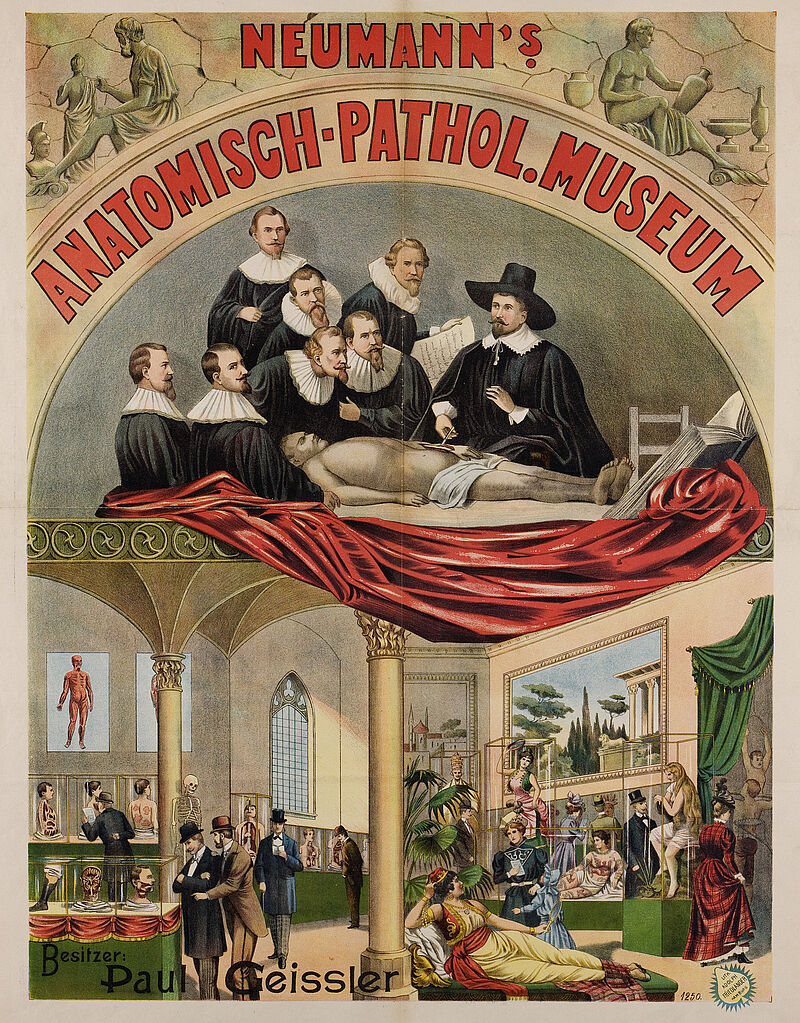 Fa. Lith. Adolph Friedländer, "Neumann's Anatomisch-Pathol. Museum" "Besitzer: Paul Geissler" (Originaltitel), um 1898