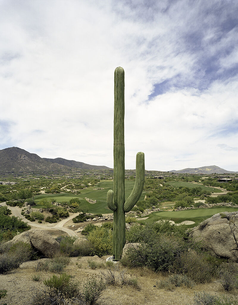 Robert Voit, Desert Mountain, Scottsdale, California, USA; aus der Serie: New Trees, 2005