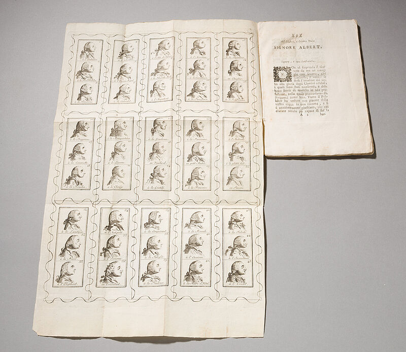 Enciclopedia per pettinarsi, 1769
