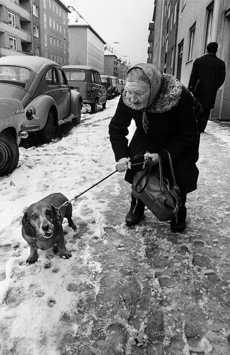 Dimitri Soulas, Frau mit Hund, Georgenstraße, München, 1971