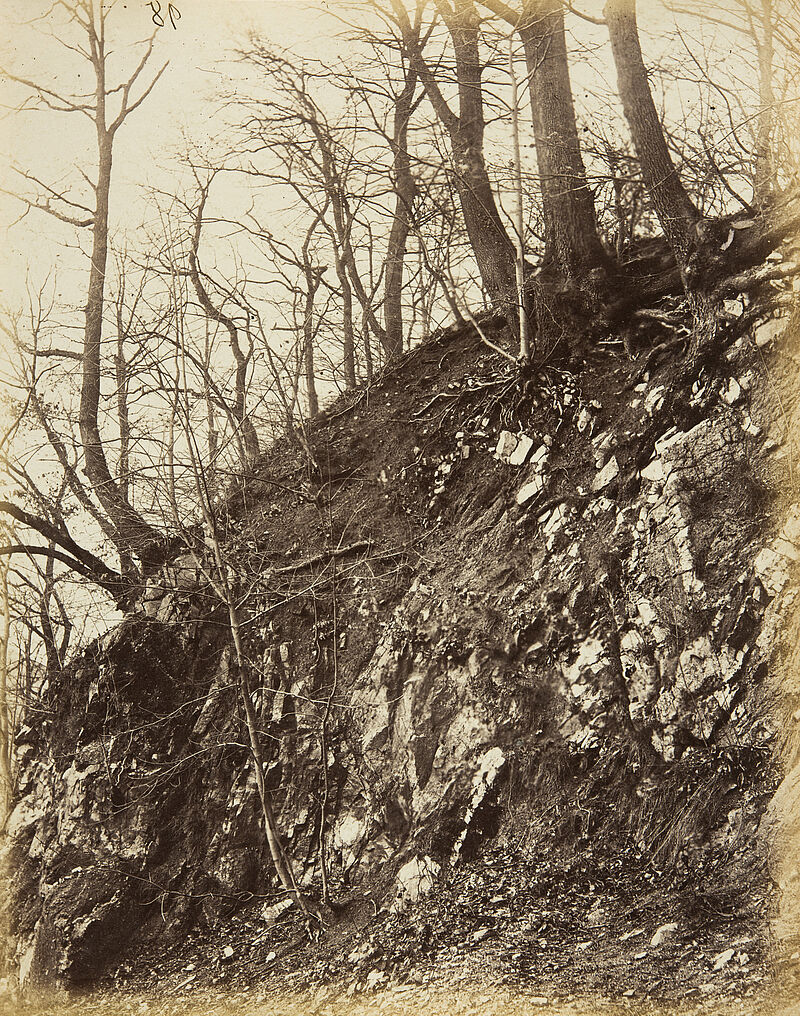 Georg Maria Eckert, Vordergrundstudie: Terrain mit Wurzeln und Stämmen – Felsenhang mit Geröll und Eichenwurzeln, 1867/68