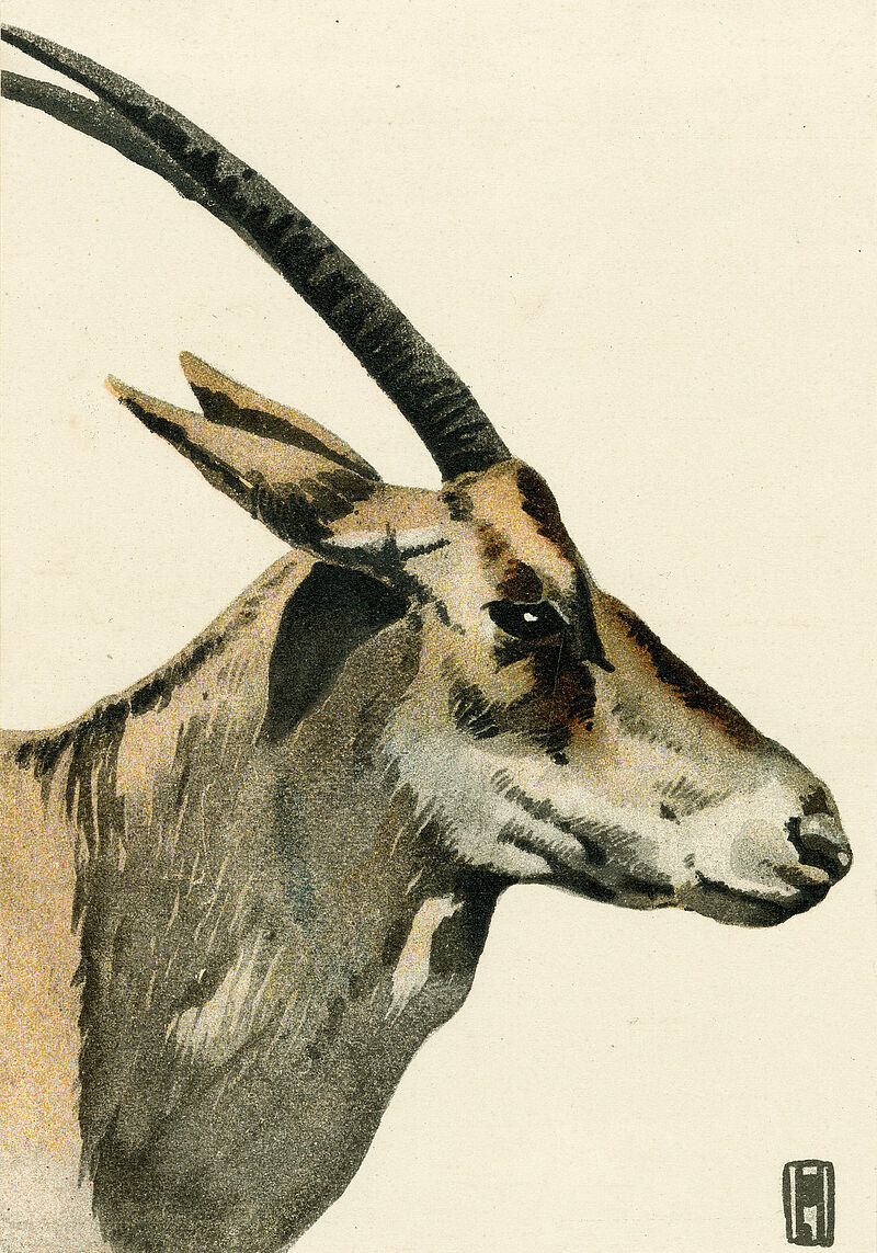 Ludwig Hohlwein, Werbeblatt ohne Titel [Tierpark Hellabrunn], 1908/09