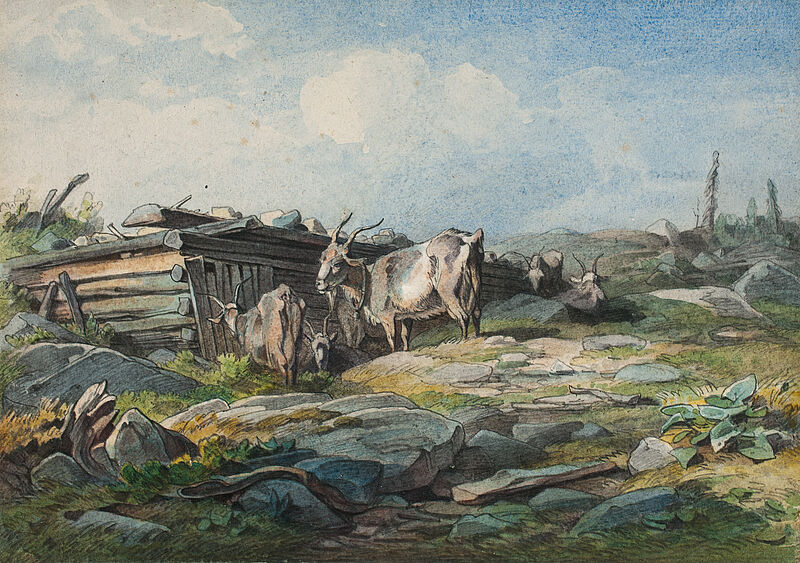 August Seidel, Ziegen auf der Weide, um 1840
