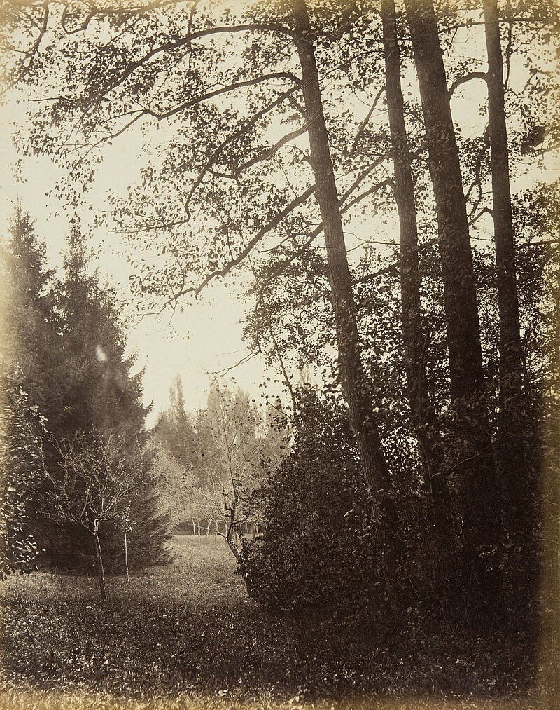 Georg Maria Eckert, Mittelgrundstudie: Baumschlag – Erlengruppe, 1867/68