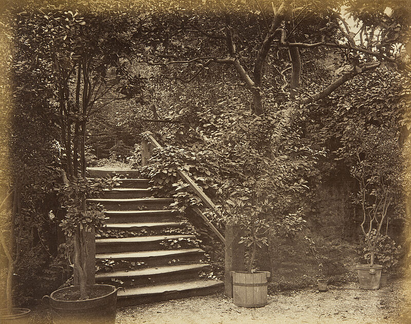 Georg Maria Eckert, Studien am Heidelberger Schloss, Vordergrundstudie – Gartentreppe mit Lorbeerbäumen, 1867/68