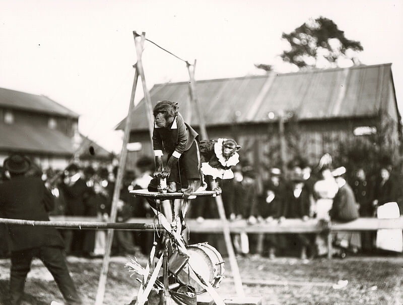 Philipp Kester, Münchner Oktoberfest – "Affentheater", Aufführung mit zwei Affen, vor 1907