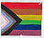Protestschild "Color is not a Crime", Progress Pride Fahne, 2020