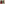 August Lüdecke, Zwei Frauen in Faschingskostüm: (links) rot-gemustertes Kleid mit weitem Rock und schwarzem Schleier; (rechts) hellblau-gemustertes Kleid mit weitem Rock und schwarzem Schleier, 02.1936