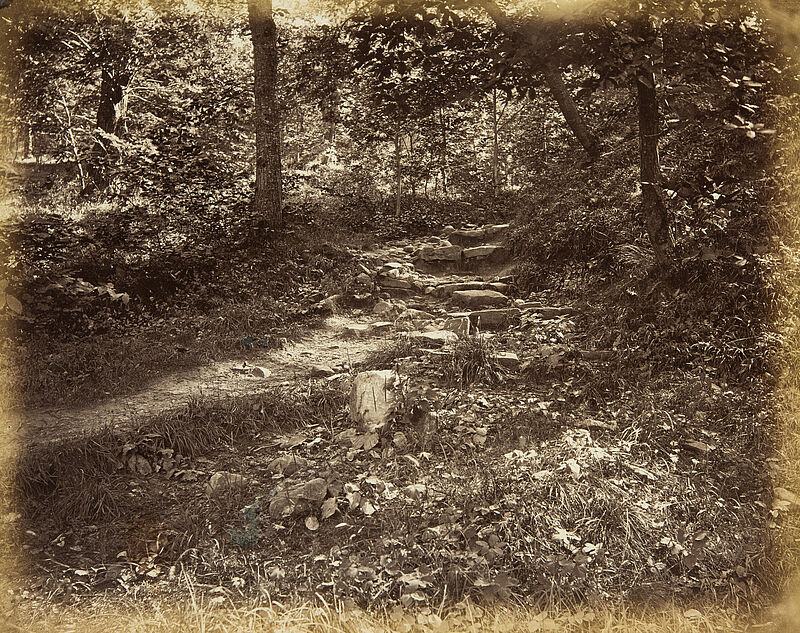 Georg Maria Eckert, Mittelgrundstudie – Felsiger Weg im Walde, 1867/68