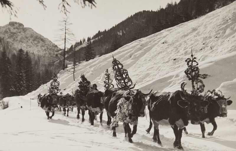 Philipp Kester, Almviehabtrieb zur Weihnachtszeit – Eine Sennerin kehrt erst im Dezember mit ihrer geschmückten Herde von der Alm in das Dorf zurück, 1935